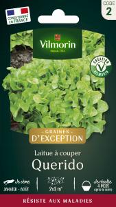 Laitue Querido - Graines d'Exception
